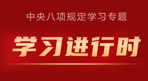 中央八项规定学习